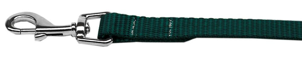 Plain Nylon Pet Leash 3-8in by 4ft Green