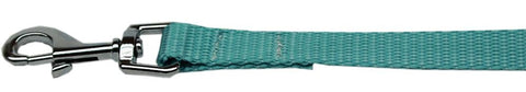 Plain Nylon Pet Leash 3-8in by 6ft Ocean Blue