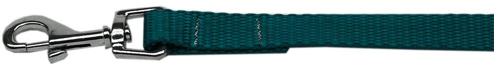 Plain Nylon Pet Leash 3-8in by 6ft Teal