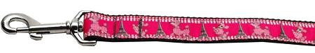 Poodles in Paris Nylon Ribbon Collars 1 wide 6ft Leash