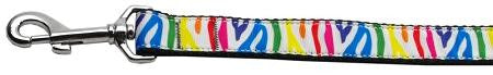 Zebra Rainbow Nylon Ribbon Dog Collars 1 wide 4ft Leash