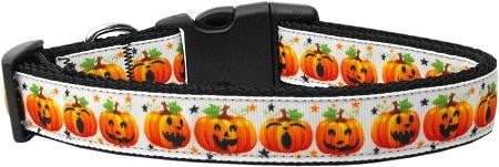 Pumpkin Parade Dog Collar Medium