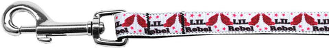 Lil' Rebel Nylon Ribbon Pet Leash 5-8 inch wide 4Ft Lsh