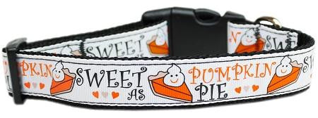 Pumpkin Pie Nylon Dog Collar Medium