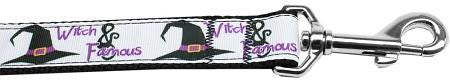 Witch and Famous Nylon Dog Leash 4 Foot