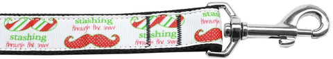 Stashing through the Snow Nylon Dog Leash 6Ft