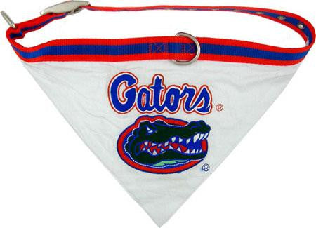 Florida Gators Bandana Medium