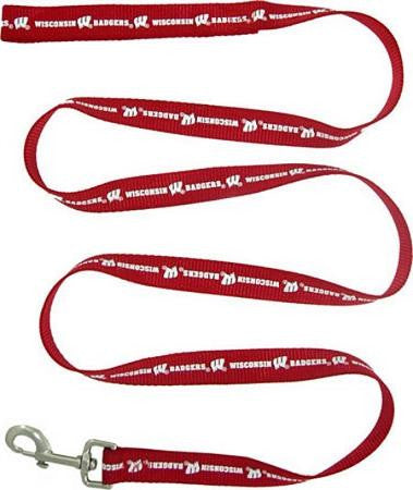 Wisconsin Badgers Leash