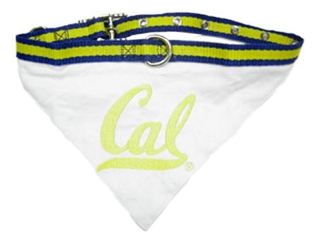 California State Golden Bears Bandana Medium