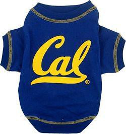 California State Golden Bears Pet Shirt LG