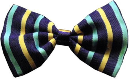 Dog Bow Tie Purple and Aqua Stripes