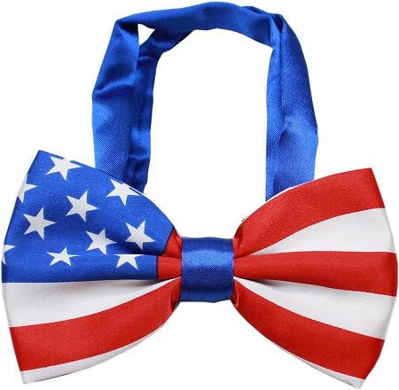 Big Dog Bow Tie American Flag