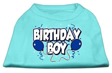 Birthday Boy Screen Print Shirts Aqua XL (16)