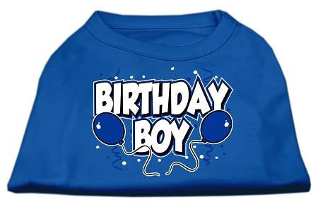 Birthday Boy Screen Print Shirts Blue XS (8)