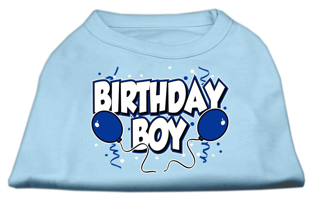 Birthday Boy Screen Print Shirts Baby Blue XXXL (20)