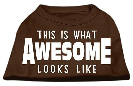 This is What Awesome Looks Like Dog Shirt Brown Lg (14)