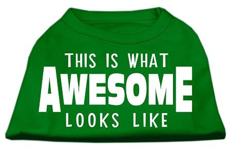 This is What Awesome Looks Like Dog Shirt Emerald Green XL (16)