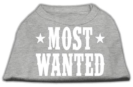 Most Wanted Screen Print Shirt Grey XS (8)