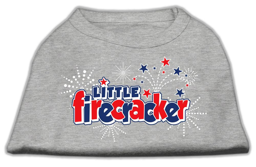 Little Firecracker Screen Print Shirts Grey L (14)