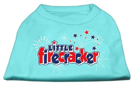 Little Firecracker Screen Print Shirts Aqua XS (8)