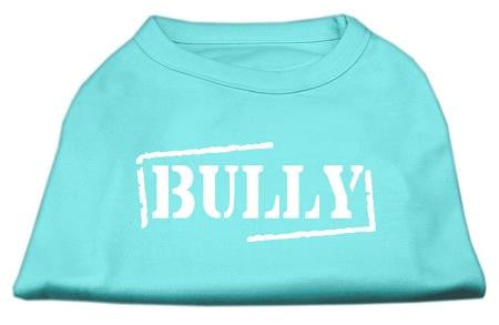 Bully Screen Printed Shirt  Aqua XS (8)