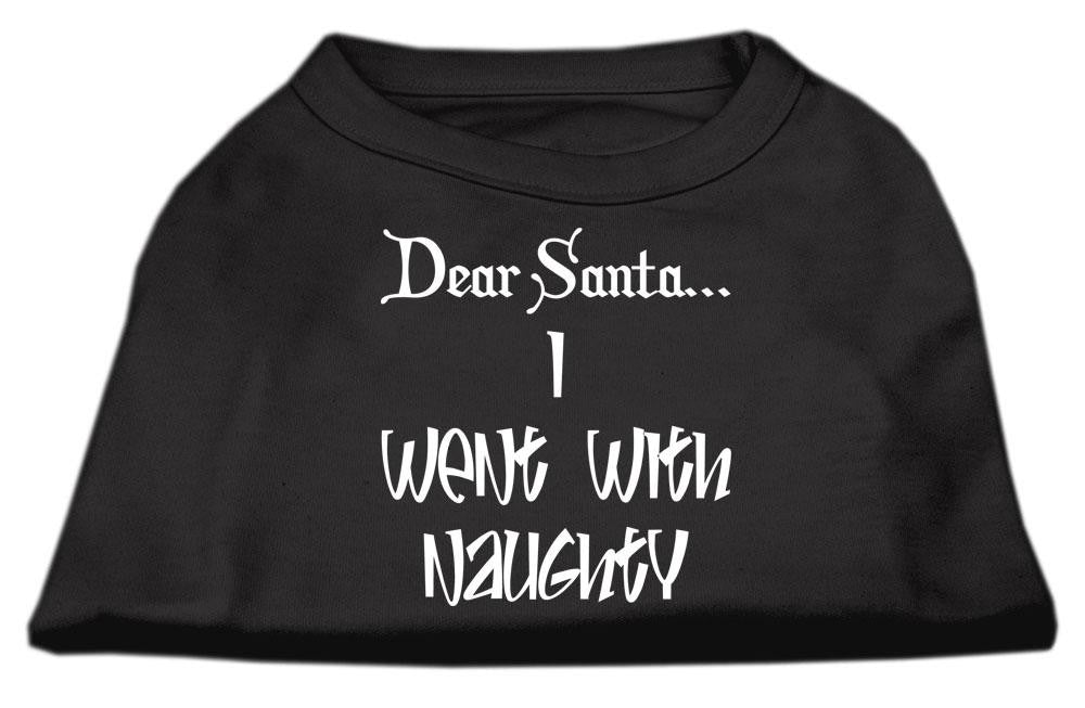 Dear Santa I Went with Naughty Screen Print Shirts Black  Sm (10)