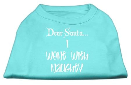 Dear Santa I Went with Naughty Screen Print Shirts Aqua XL (16)