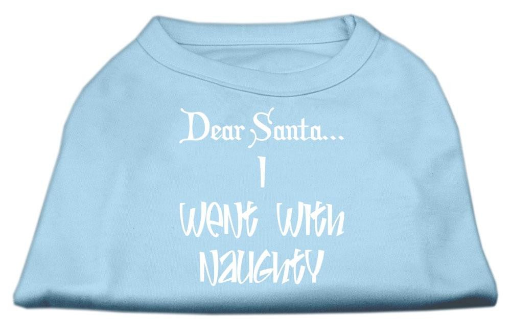 Dear Santa I Went with Naughty Screen Print Shirts Baby Blue XS (8)