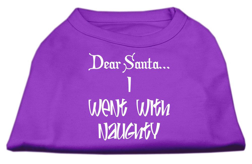 Dear Santa I Went with Naughty Screen Print Shirts Purple XXXL (20)