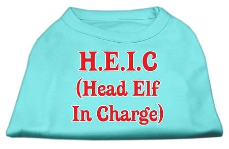 Head Elf In Charge Screen Print Shirt Aqua XXL (18)