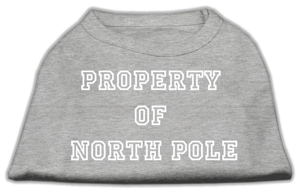 Property of North Pole Screen Print Shirts Grey M (12)