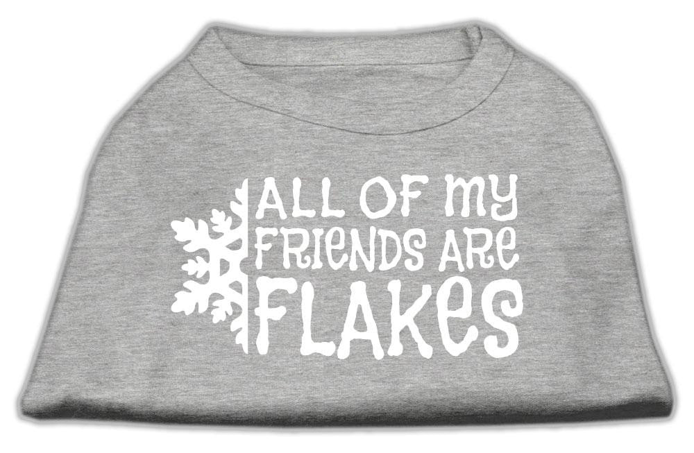 All my friends are Flakes Screen Print Shirt Grey L (14)