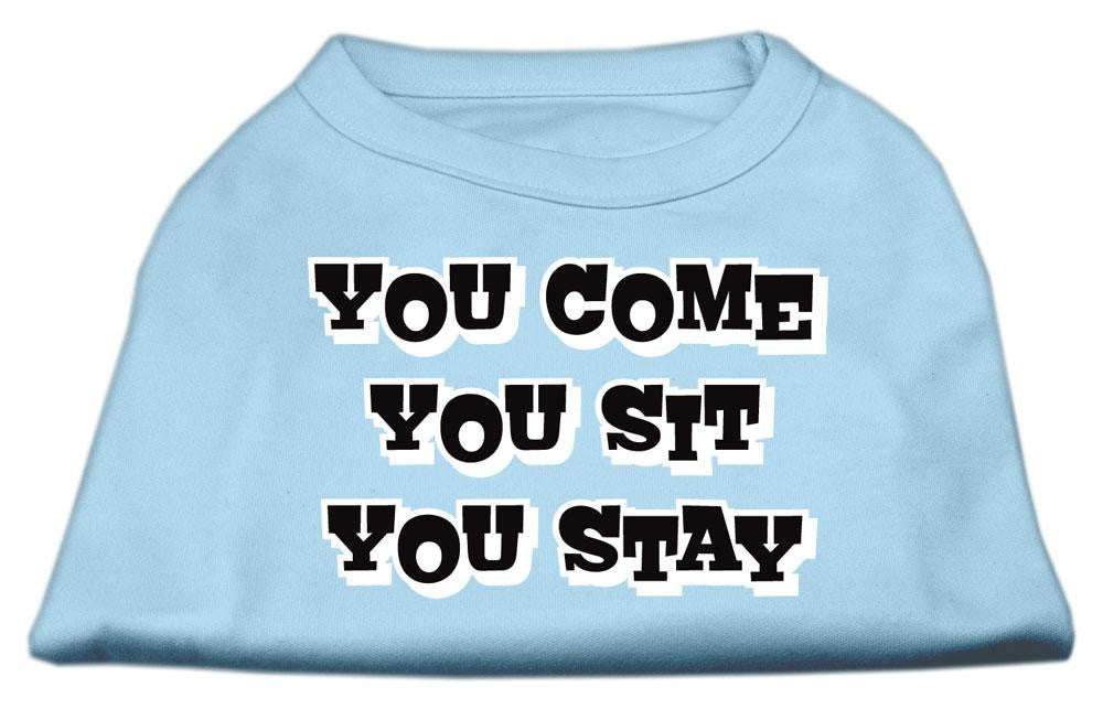 You Come, You Sit, You Stay Screen Print Shirts Baby Blue L (14)