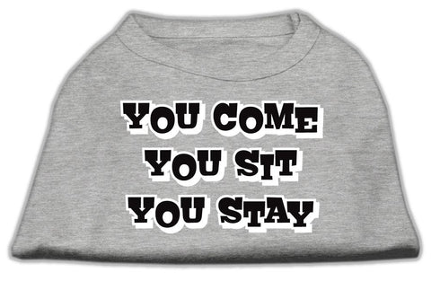 You Come, You Sit, You Stay Screen Print Shirts Grey L (14)