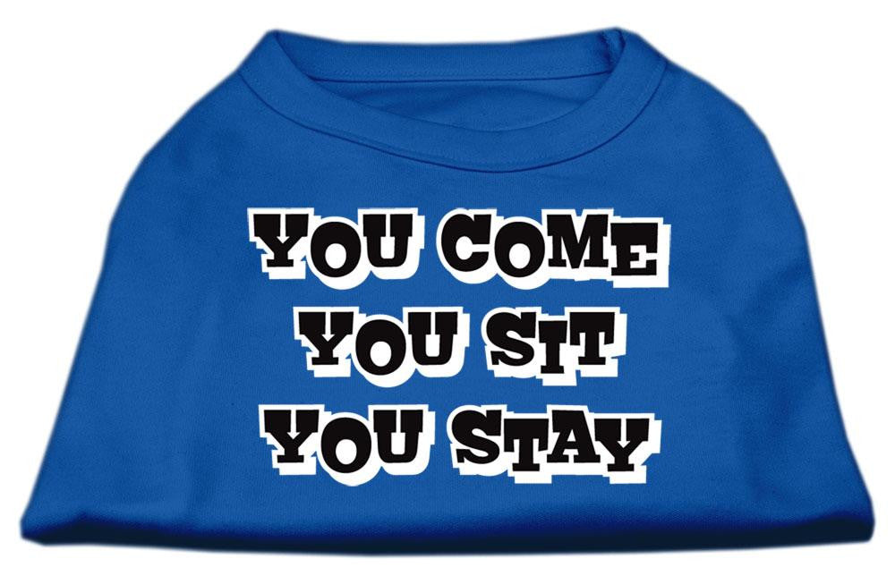 You Come, You Sit, You Stay Screen Print Shirts Blue Sm (10)