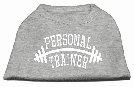 Personal Trainer Screen Print Shirt Grey Lg (14)