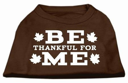 Be Thankful for Me Screen Print Shirt Brown Lg (14)