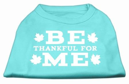 Be Thankful for Me Screen Print Shirt Aqua M (12)