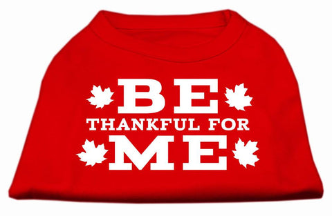 Be Thankful for Me Screen Print Shirt Red XS (8)