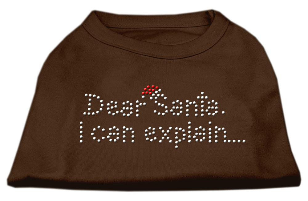 Dear Santa I Can Explain Rhinestone Shirts Brown Lg (14)