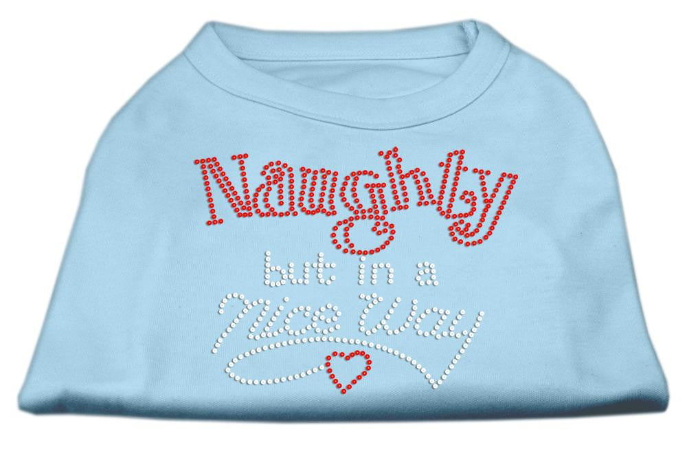 Naughty But Nice Rhinestone Shirts Baby Blue XS (8)