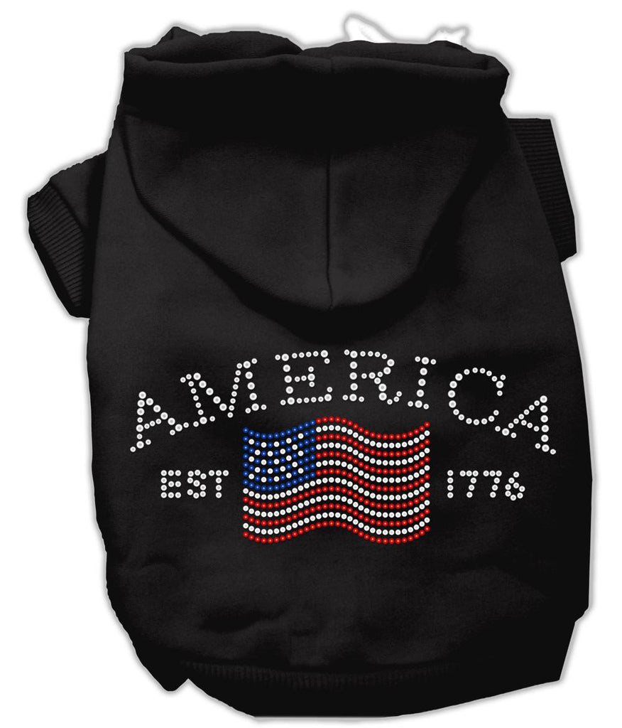 Classic American Hoodies Black S (10)