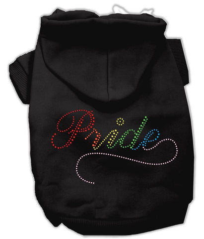 Rainbow Colored Pride Hoodies Black XS (8)