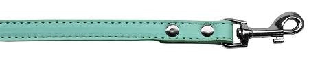 Premium plain pet leash 1-2" wide x 6' long Aqua