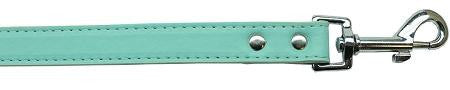 Premium plain pet leash 3-4" wide x 4' long Aqua