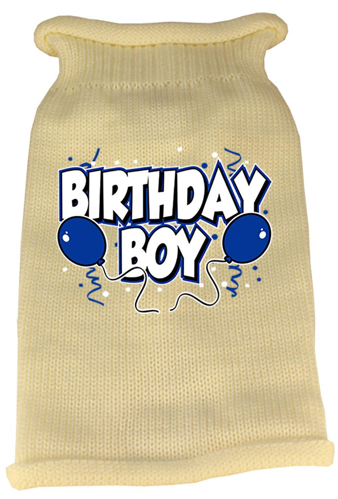 Birthday Boy Screen Print Knit Pet Sweater LG Cream