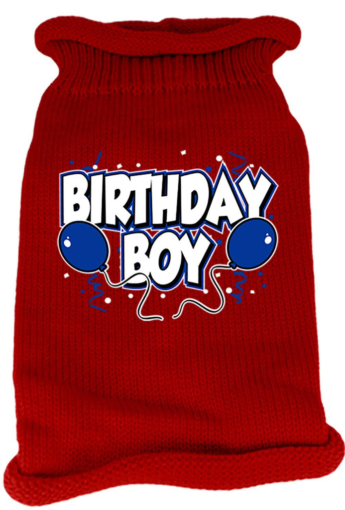 Birthday Boy Screen Print Knit Pet Sweater SM Red