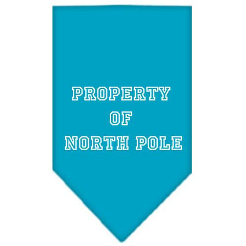 Property of North Pole Screen Print Bandana Turquoise Large