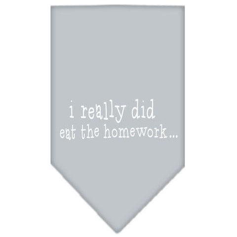 I really did eat the Homework Screen Print Bandana Grey Large