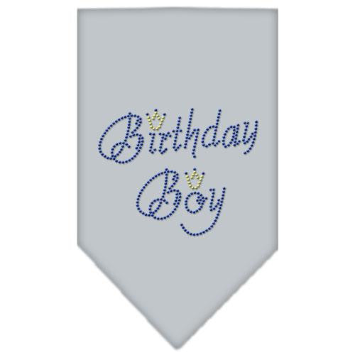 Birthday Boy Rhinestone Bandana Grey Small